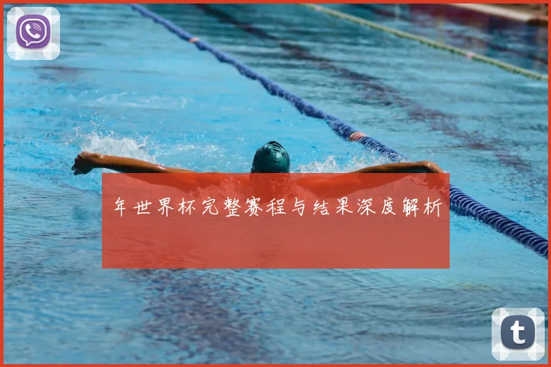 年世界杯完整赛程与结果深度解析