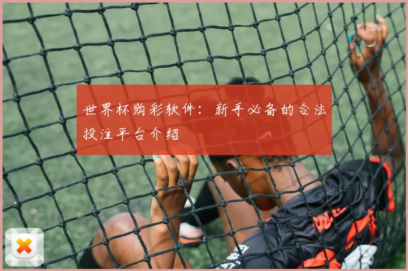 世界杯购彩软件：新手必备的合法投注平台介绍