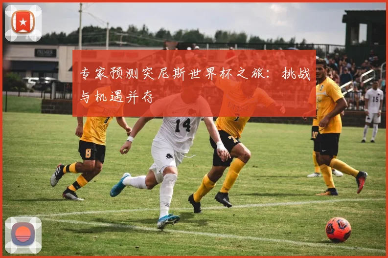 专家预测突尼斯世界杯之旅：挑战与机遇并存