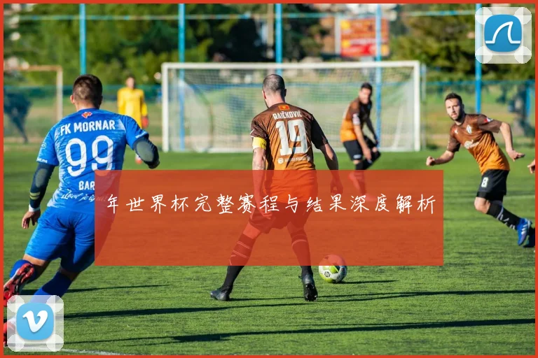 年世界杯完整赛程与结果深度解析